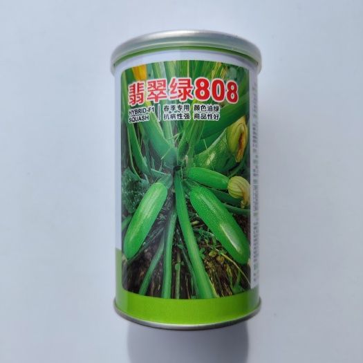 宿迁西葫芦种子翡翠绿808荷兰引进一代杂交西葫芦种子