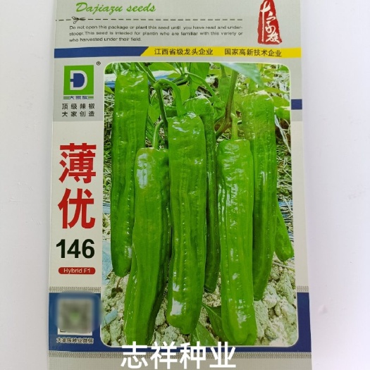华容县大家族种业薄优146优质薄皮椒灯笼椒泡椒种子味较辣基地正品包