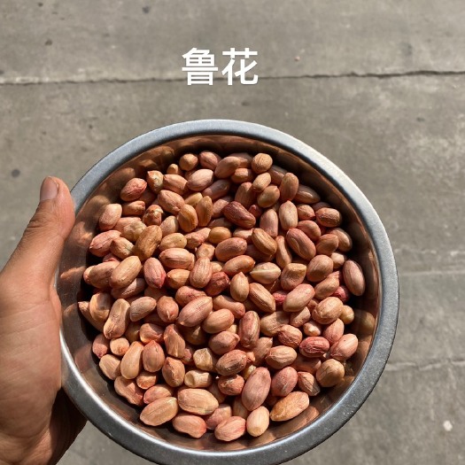 中牟县纯干鲁花花生米
