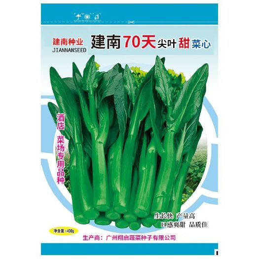 东莞市建南70天尖叶甜菜心菜种籽粗苔矮脚耐热蔬菜种孑大田专用种