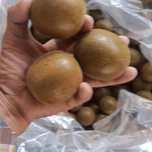 资源县罗汉果干果