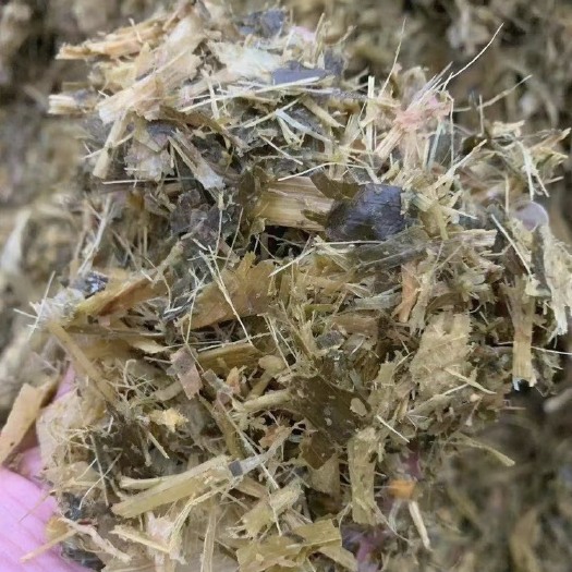 礼泉县黄贮
