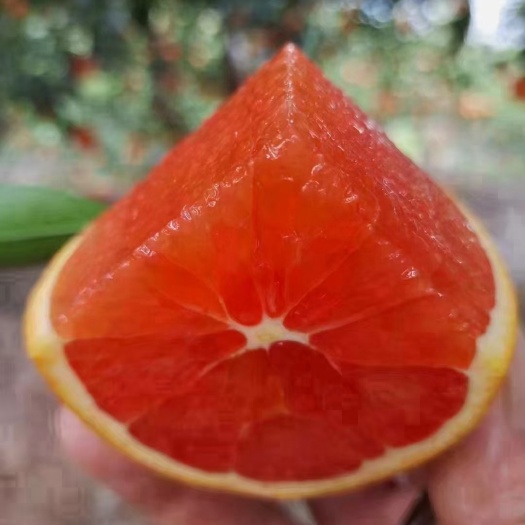 秭归县中华红血橙 九月红果冻橙 长虹脐橙 产地一手货源 坏果包赔
