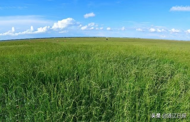 流转草场