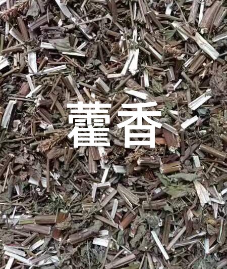 中药材～广藿香 土藿香新鲜晒干 人工切段  实拍图片～