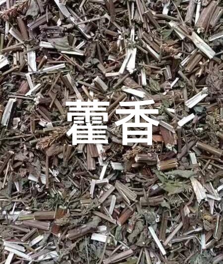 永城市中药材～广藿香 土藿香新鲜晒干 人工切段  实拍图片～