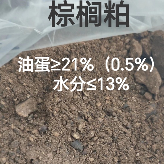 儋州市棕榈粕