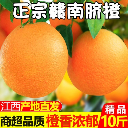 新鲜赣南早熟脐橙江西橙子产地直发新鲜应季水果薄皮橙子整箱批发