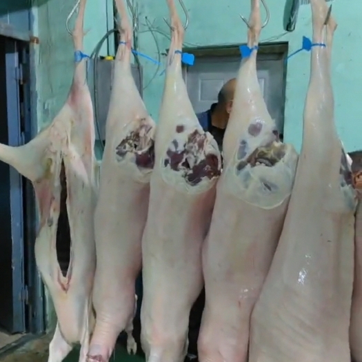 锡林浩特锡林郭勒盟羊肉