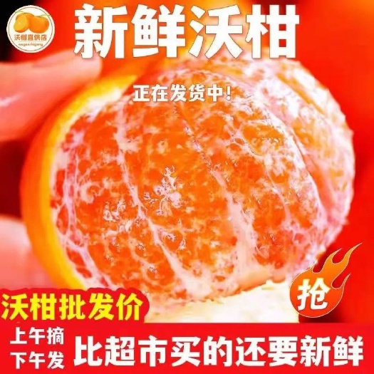 泸水市包邮～云南高原沃柑上市脐橙橙子口感好多汁