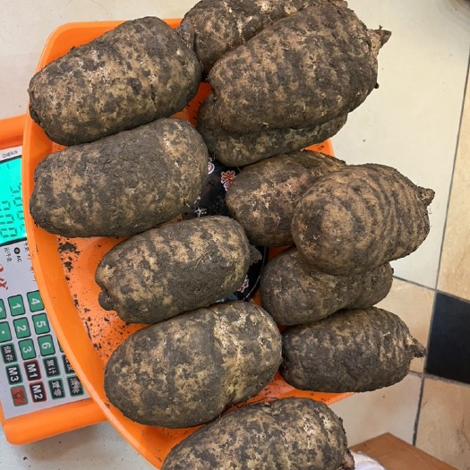 昭通云南昭通小草坝天麻