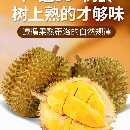 昆明泰国金枕榴莲新鲜水果当季榴莲