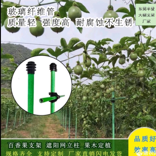 东莞市新型玻璃纤维管百香果种植遮阳棚搭架承重力好抗大风防鸟网支架防