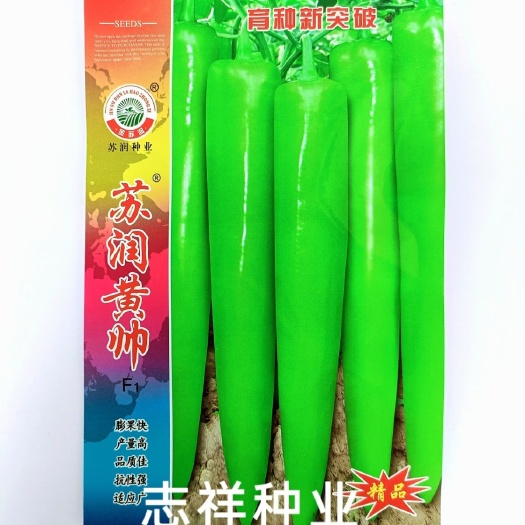 苏润黄帅大果型黄皮尖椒种子早熟中辣黄皮长牛角椒辣椒抗病基地