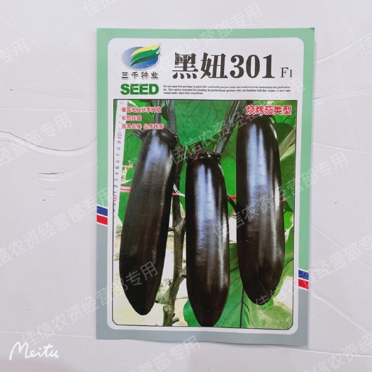 华容县三千种业黑妞301烧烤茄类型中晚熟抗逆耐病强果紫黑色高产