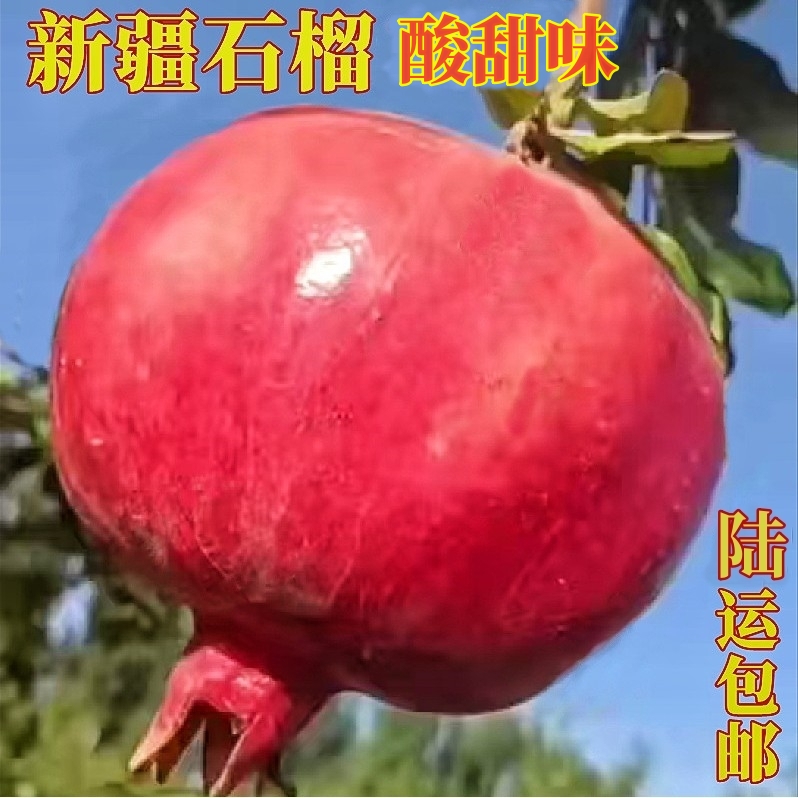 新疆石榴和田包邮批发喀什当季新鲜水果硬籽酸甜石榴
