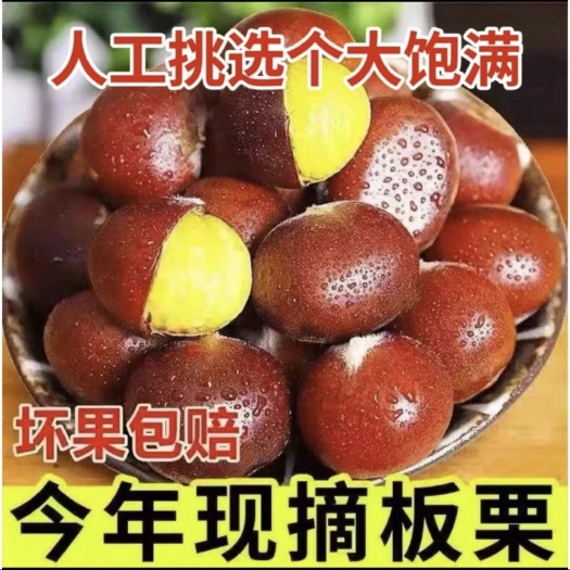 东港市丹东板栗
