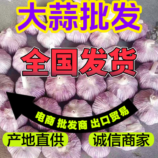 山东大蒜产地，白皮大蒜，紫皮蒜，四六瓣，电商商超，出口贸易货