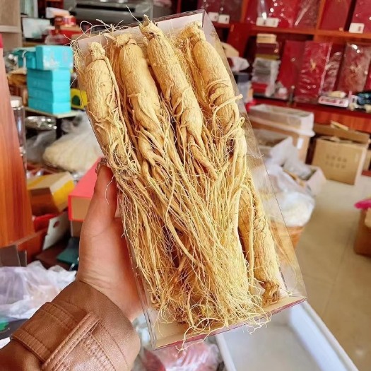 抚松县产地直发：长白山园参，6年原皮生晒高含量无磺，新鲜上市！