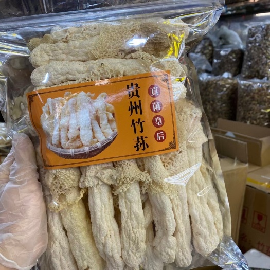 广州贵州特大条竹笙，最大号15公以上，现货促销