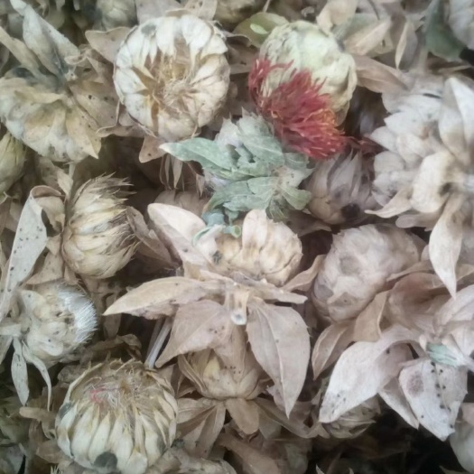 乌鲁木齐干红花果
