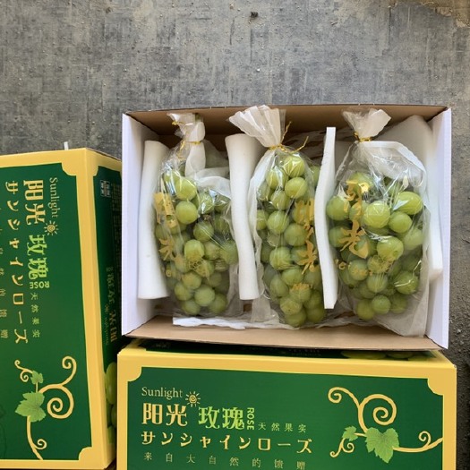 青岛阳光玫瑰礼盒装