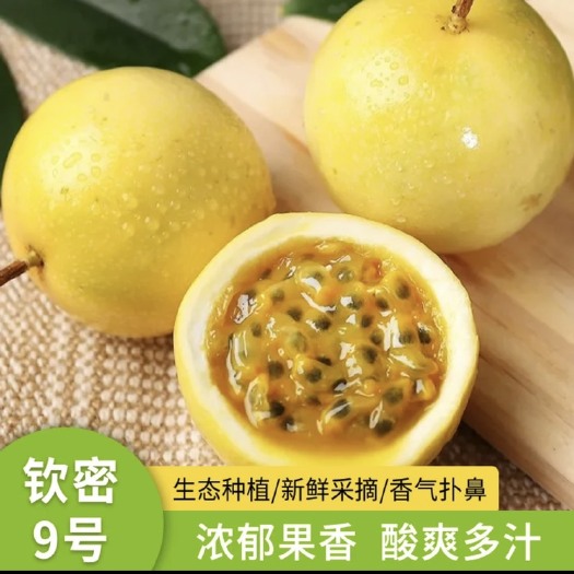 乐东县百香果 钦蜜9号