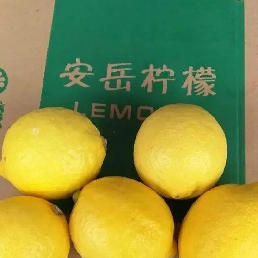 安岳县尤力克柠檬，一二级果，产地自销，新鲜上市，包邮到家