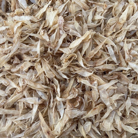茂名实物图清水豆仁鱼胶花胶干货正品胶厚滋补孕妇老人滋补花胶足干货