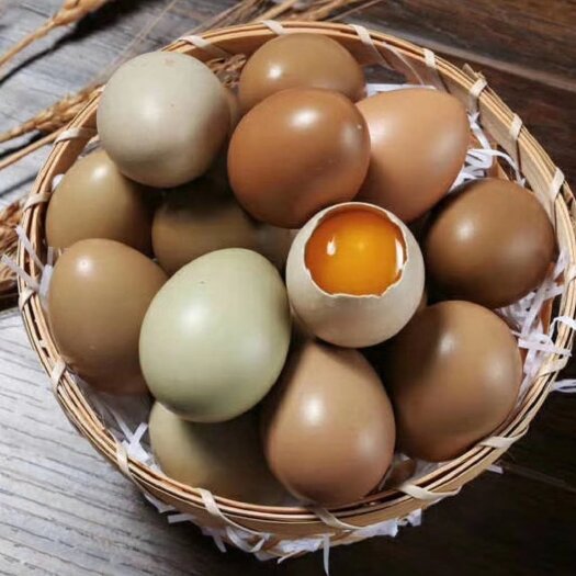 临邑县七彩山鸡蛋現捡新鲜发货。