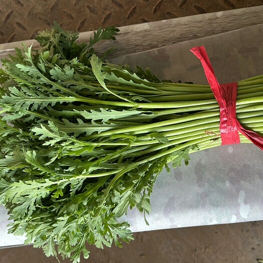 邯郸精品茼蒿