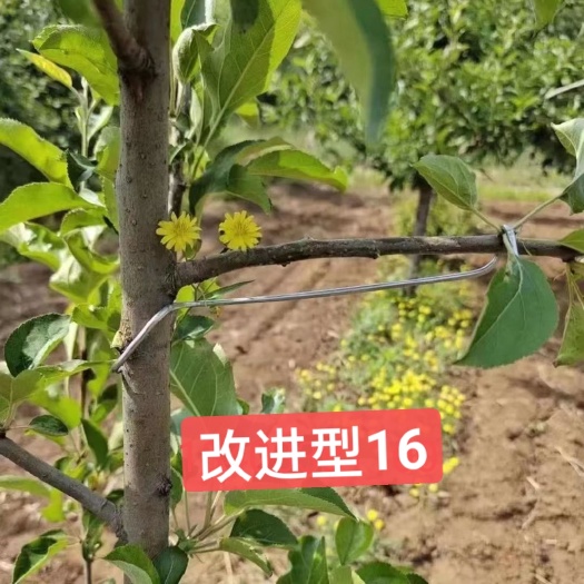衡水改进型16开角拉枝器品质育苗防护资材农机农资果树花卉拉枝器