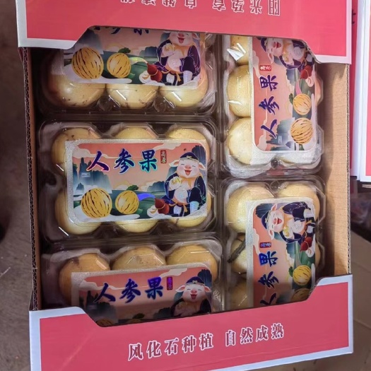 石林县石林人参果