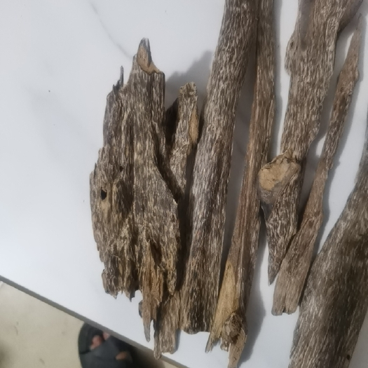 信宜市虫漏沉香
