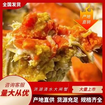 湖北洪湖大闸蟹原产地直供，破损包赔，支持混批。（母蟹）