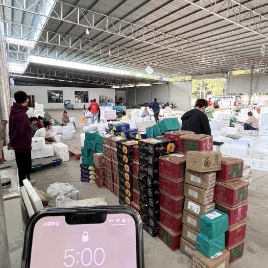 蒙自市云南蒙自枇杷产地供应链一件代发，市场渠道