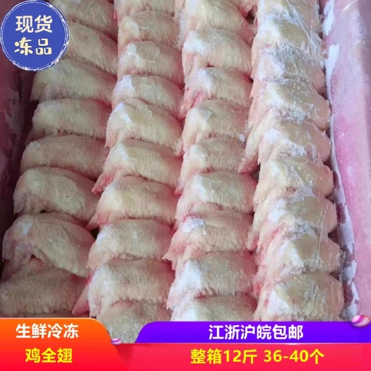 南京鸡全翅冷冻鸡排翅商用生鸡翅整箱12斤36-40个烧烤红烧食材