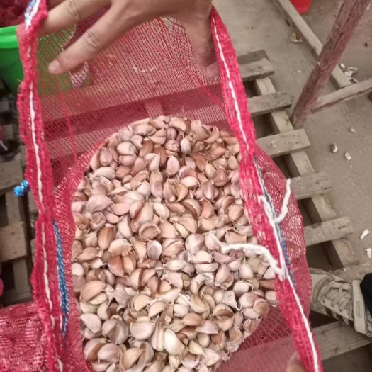 徐州分瓣大蒜