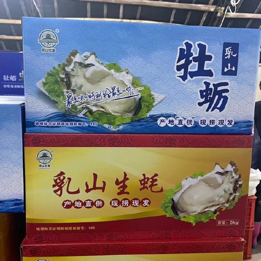 乳山市鲜活乳山生蚝，净化生蚝！小包装5斤10斤装，顺丰/京东包邮！