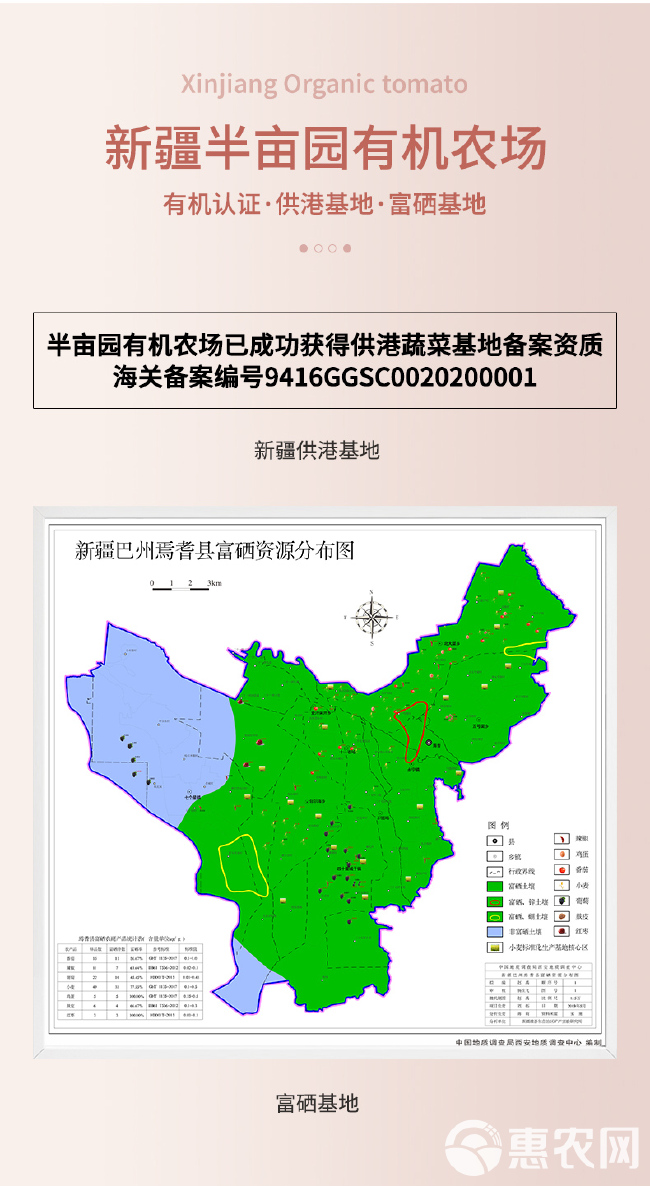 西红柿新疆半亩园（初恋）有机西红柿经过认证的高端西红柿好产品