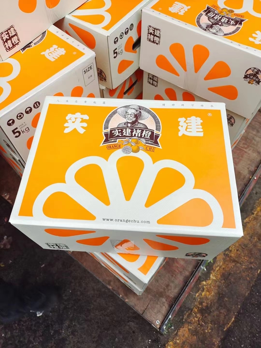 一件代发云南实建褚橙云南才有冰糖橙与褚橙同根的它一颗颗清冽