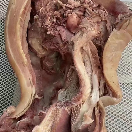 牛头肉 原味 全熟牛头肉