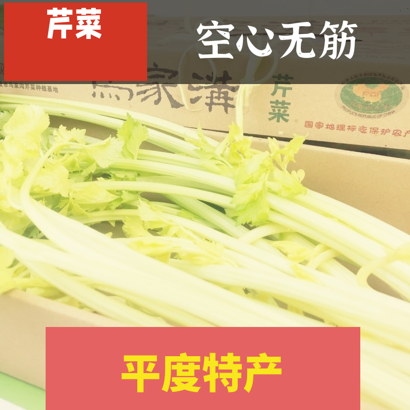 平度特产马家沟芹菜新鲜芹菜空芯芹菜玻璃脆