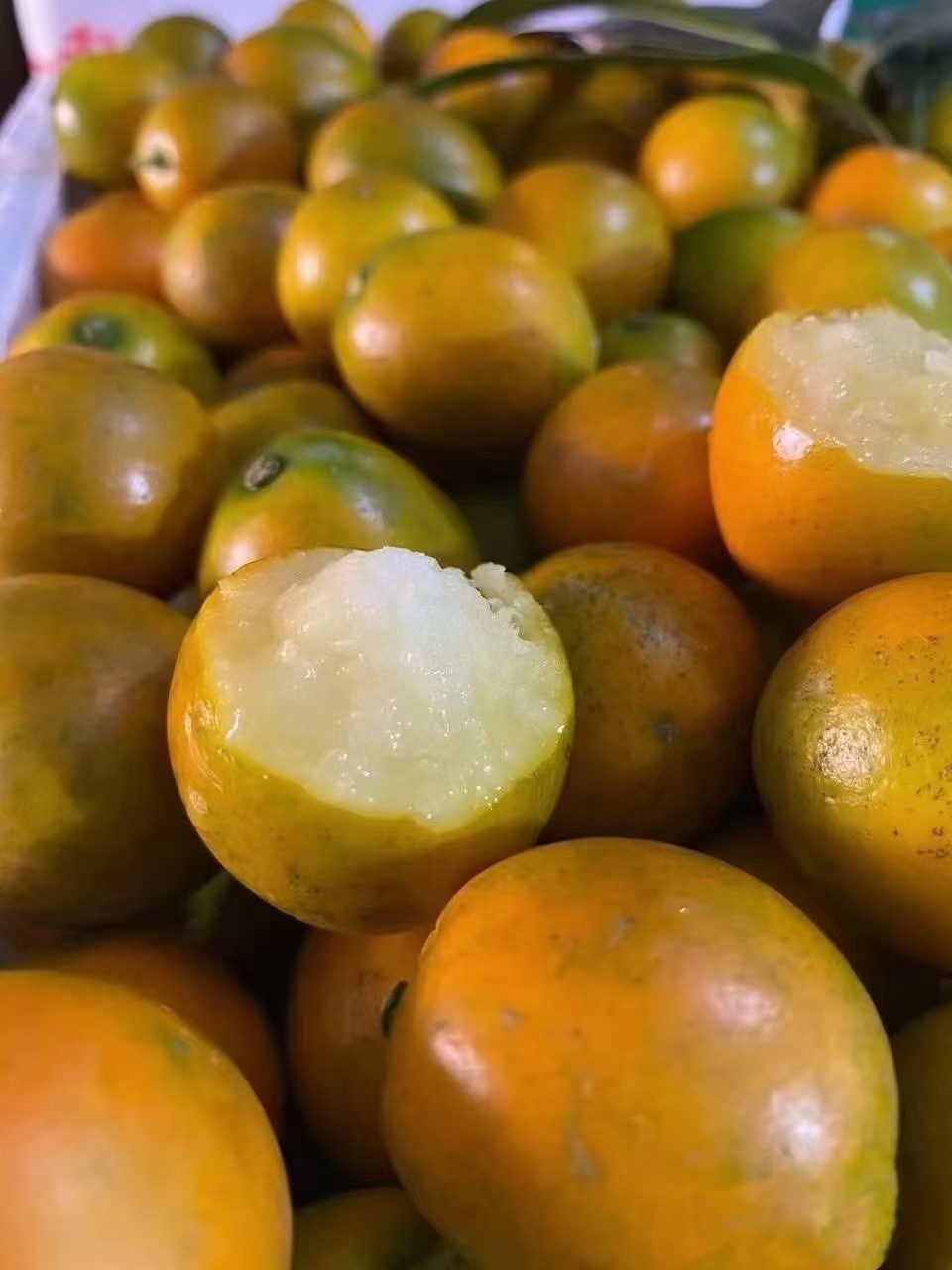 融安滑皮金桔   一手货源，现摘现发，品质有保障