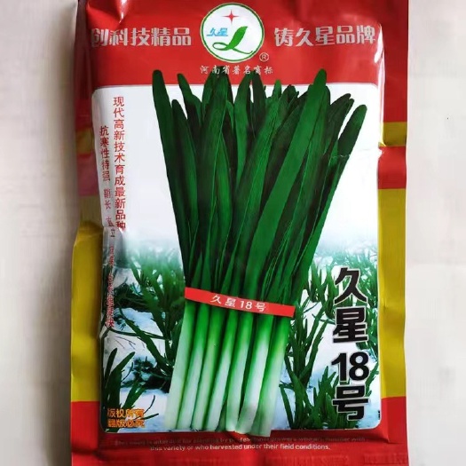 久星18号韭菜种子抗病性强耐寒抗热大田用种久星10号