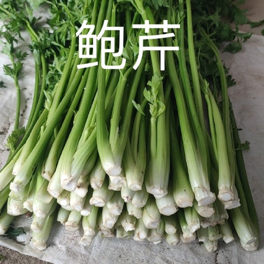 潍坊鲍芹