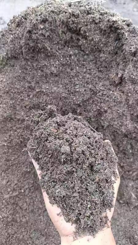 肇庆花卉种植泥炭土