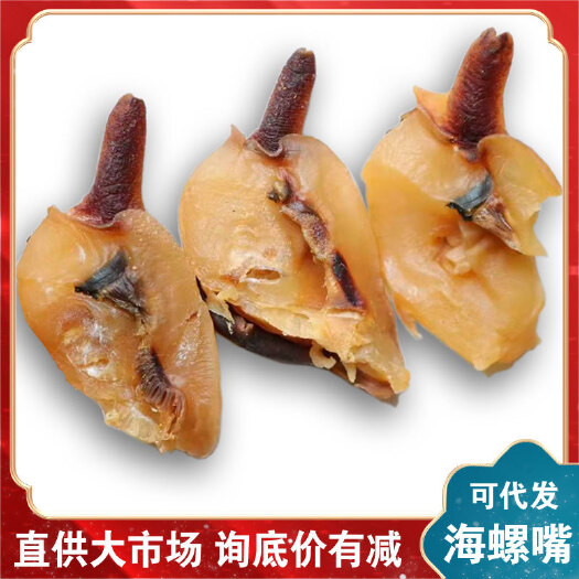 广州螺肉 螺嘴 螺头 螺粒 足干，淡干，干爽，厚肉，一个螺一个嘴