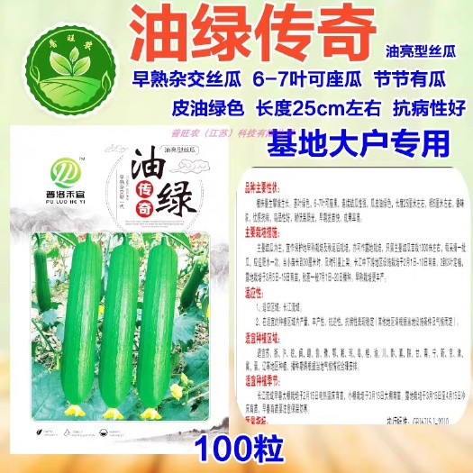 南京普洛禾宜油绿传奇杂交油皮丝瓜种子油绿皮强雌性基地大户专用