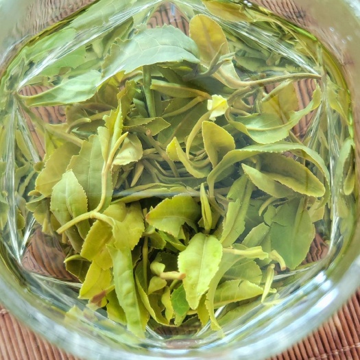 日照秋茶天花板～晚秋封园茶，滋味浓郁醇厚汤色黄绿通透花香高扬，